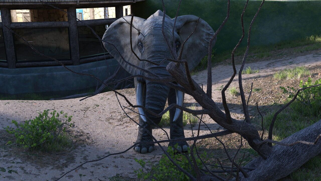 Zookeeper - Elephant page 3 full