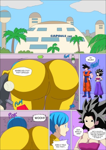 Caulifla x Bulma cover