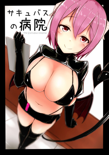 Succubus no Byouin - The Succubus Hospital cover