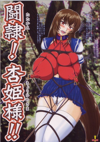 Tatakae! Kyouhime-sama!! cover