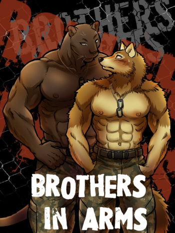 Brothers In Arms cover