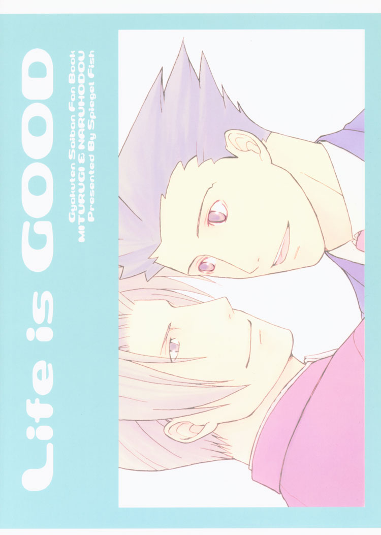 Ace Attorney DJ - Life is Good page 2 full