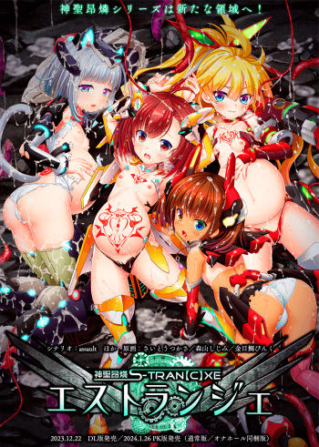 Shinsei Kourin S-TRANXE cover