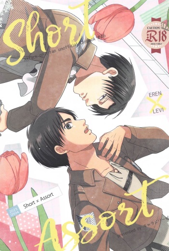 Short x Assort cover