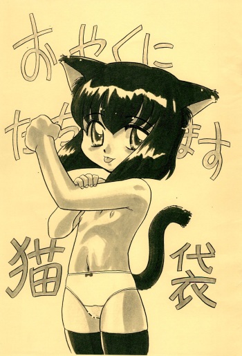 Oyaku ni Tachimasu Nekobukuro cover