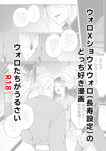 Volo x Shou x Volo  no Docchi Suki Manga cover