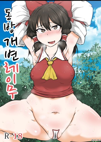 Touhou Kaihen Reimu | 동방 개변 레이무 cover