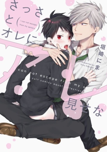 Sassa to Ore ni Are Misena / Kakisaki Nima cover