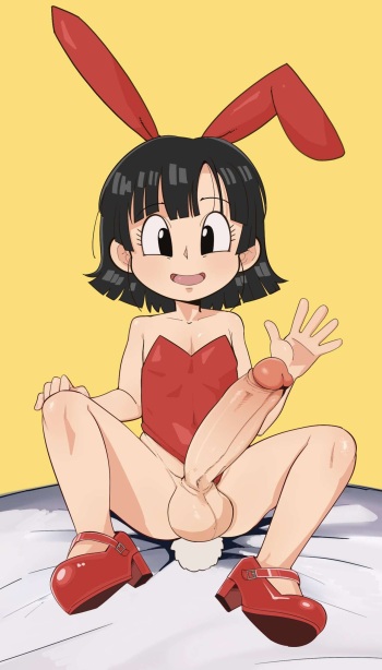 Hua's pan cover