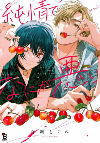 Junjou de Nani ga Warui cover