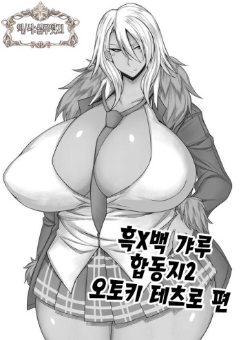 Kuro x Shiro Gal Goudoushi 2 - Otogi Tetusrou Hen | 흑x백 갸루 합동지 - 오토기 테츠로 편 cover