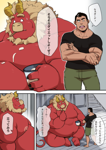 Gardie's Diet cover