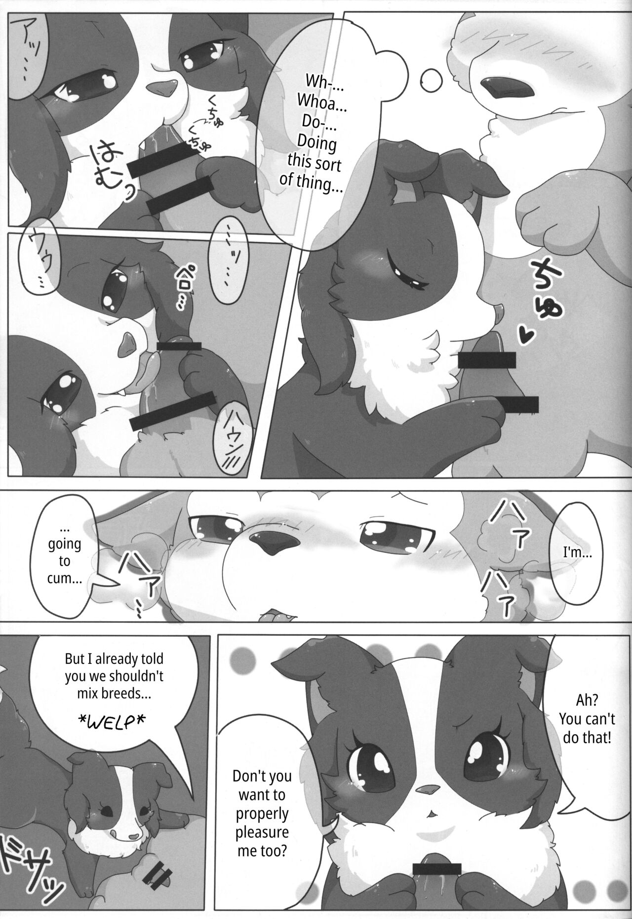 Bodako-san no Himitsu no Training | Bordacol-san's Secret Training page 3 full