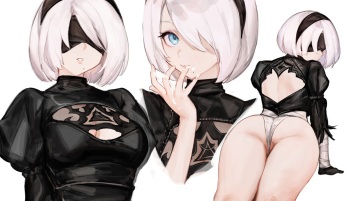 2B cover