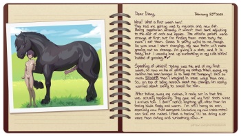 Dear Diary: Bryce cover