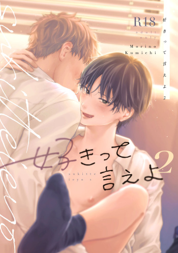 Suki tte Ie yo 2 cover