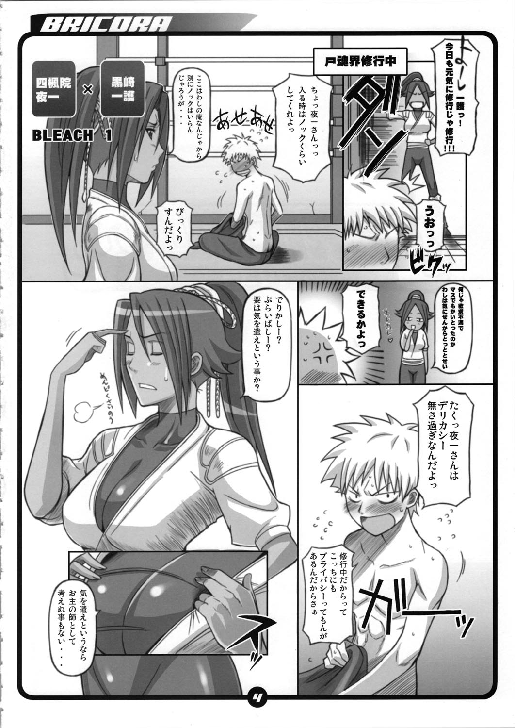 BRICOLA page 4 full