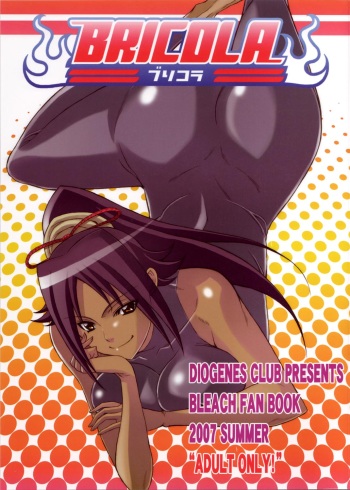 BRICOLA cover