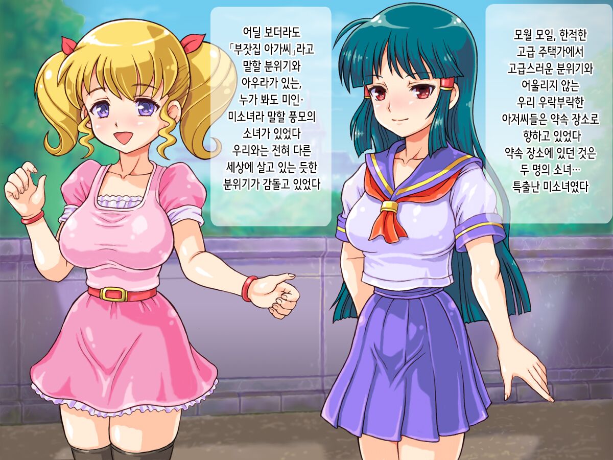 Wakeari Ojousama Shimai no Aigan Choukyou Jisshuu | 사정 있는 아가씨 자매의 애완 조교 실습 page 3 full