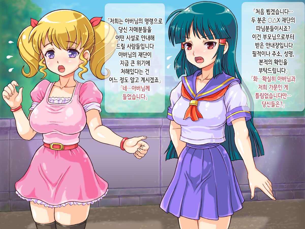 Wakeari Ojousama Shimai no Aigan Choukyou Jisshuu | 사정 있는 아가씨 자매의 애완 조교 실습 page 6 full