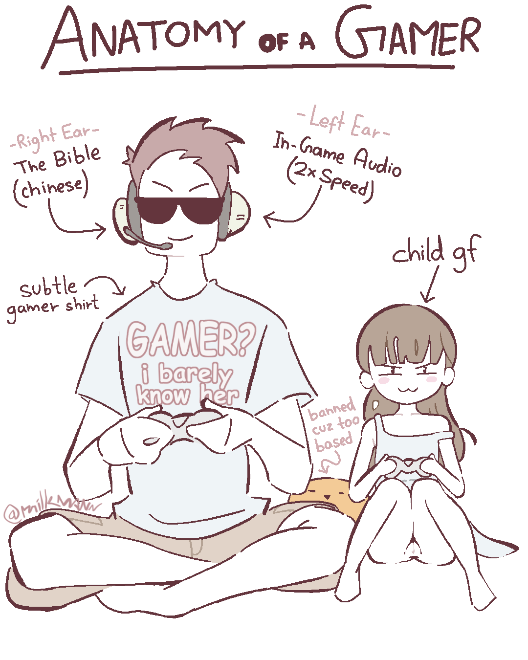 - Anatomy of a Gamer Meme page 3 full