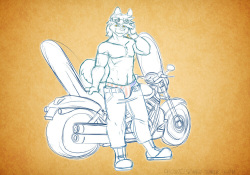 Rabidraccoon Morenatsu Art Collection