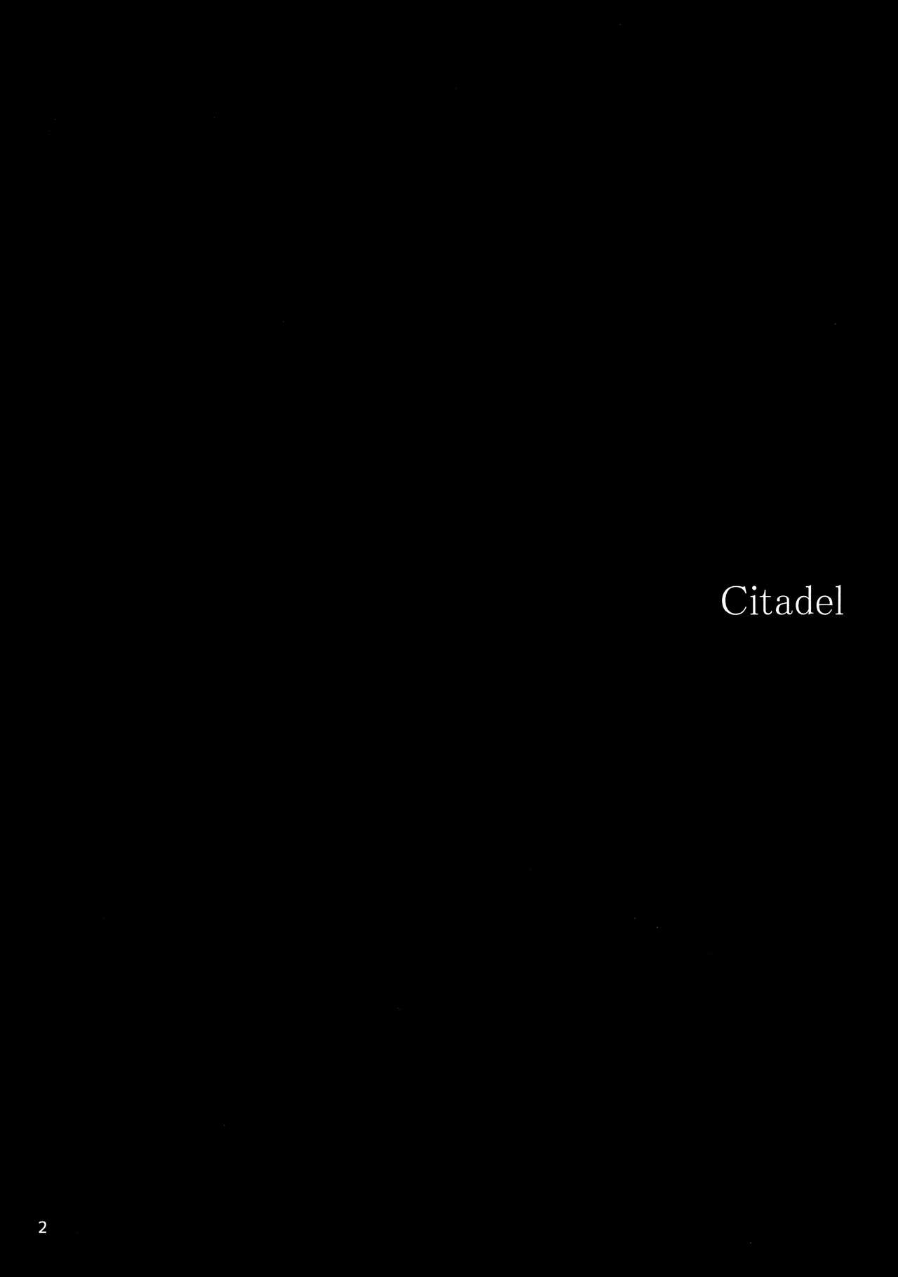Citadel page 4 full