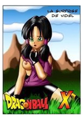 DBZ La surprise de Videl cover