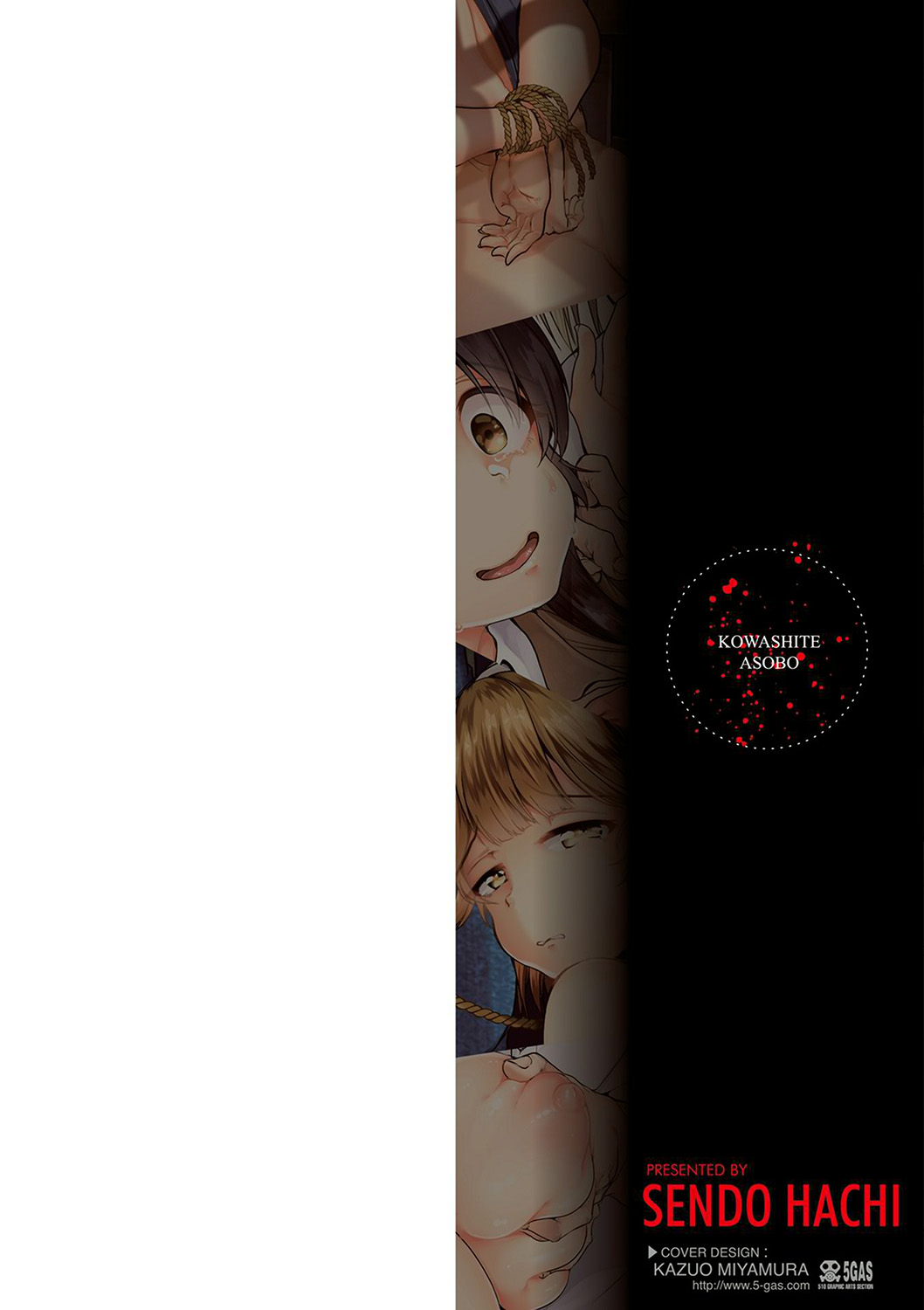 Kowashite Asobo + DLsite Gentei Chara Settei &amp; Plot page 2 full