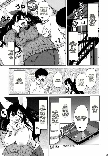 Mochi Usagi cover