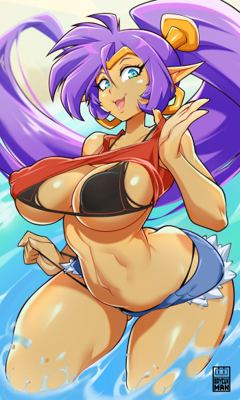 Shantae cover