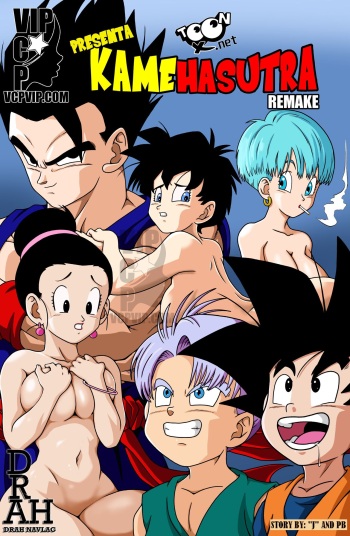Kamehasutra Remake cover