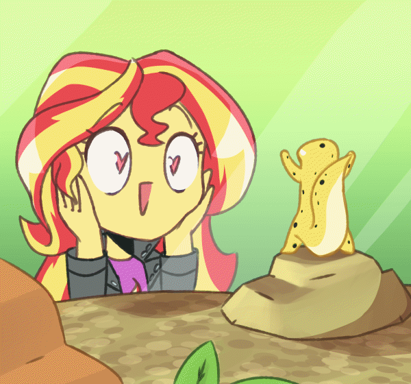 ARTIST Rockset page 8 full