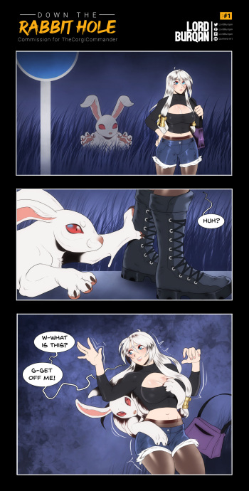 Down The Rabbit Hole cover