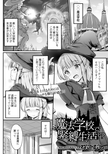 Mahou Gakkou de Kinbaku Seikatsu!? cover