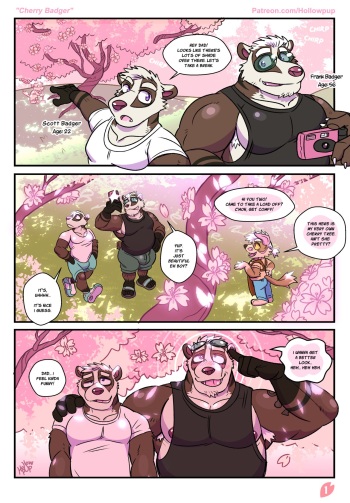 Cherry Badger cover