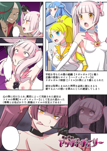 ma doro sitasi hime maddhi cheri- gaiden reisei de kimazime na seigi no mahou syouzyo daxtu ta watasi ga go syuzin sama no mesuinu to si te o tinpo sama ni go housi suru hanasi cover