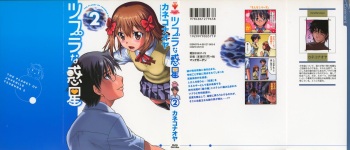 Tsubura na Wakusei Vol 2 cover