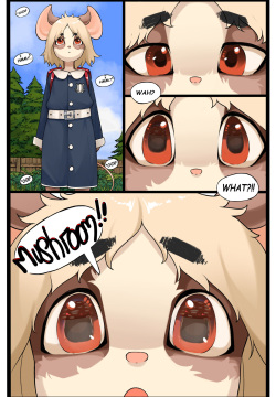 Mushroom Daydream