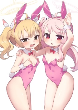 cocone
