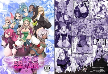 Mareinu Oukoku no Midarana Nichijou | Indecent Days of the Mareinu Kingdom cover