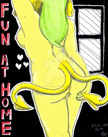 Fun at Home cover
