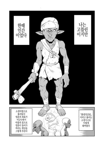 고블린과 여기사 cover