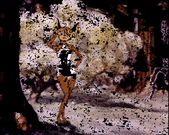 Tex Avery's Funny Animals cover