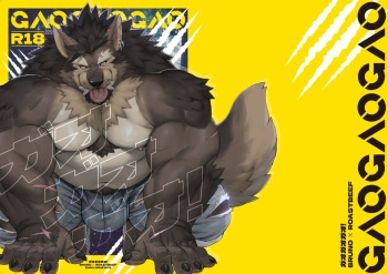 WILD STYLE  GAOGAOGAO! cover