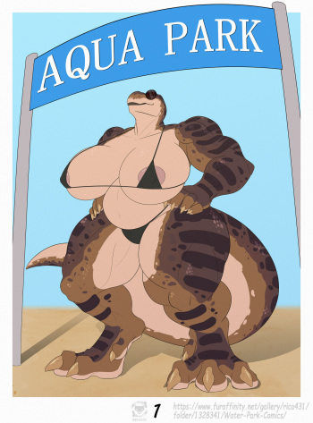 Water Park cover