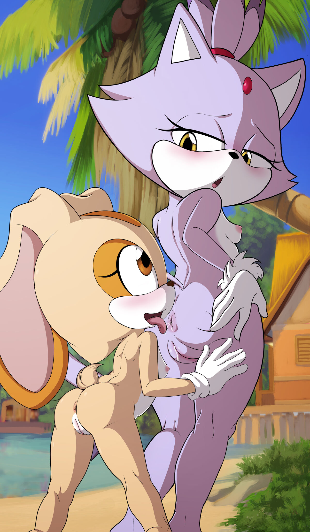 Sonic Girls at the Beach page 8 full