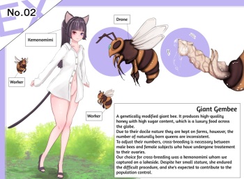 Insect Research Report EX_No.02 cover