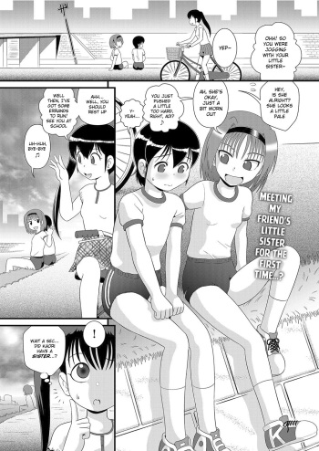 Anesonteihi Boku wa Onee-chan no Omocha ja nai cover