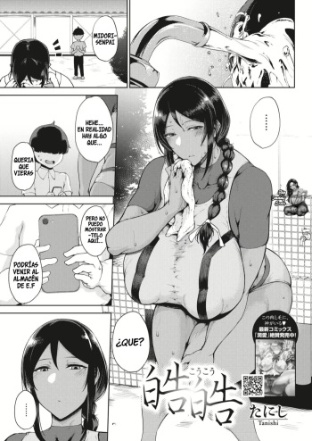 Koukou cover